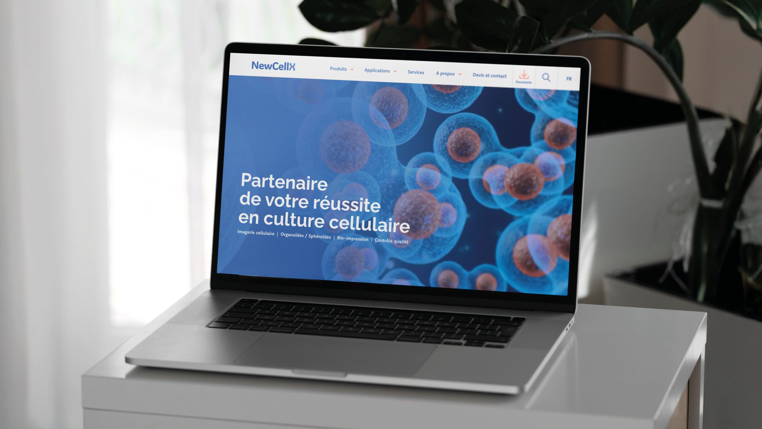 Page accueil site internet NewCellX