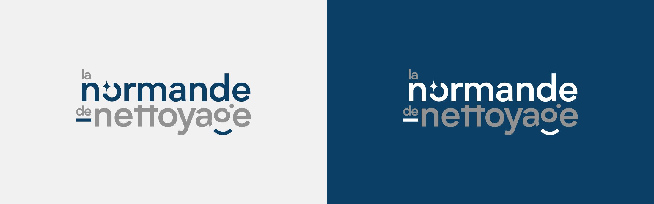 Charte graphique du logotype de la Normande de Nettoyage