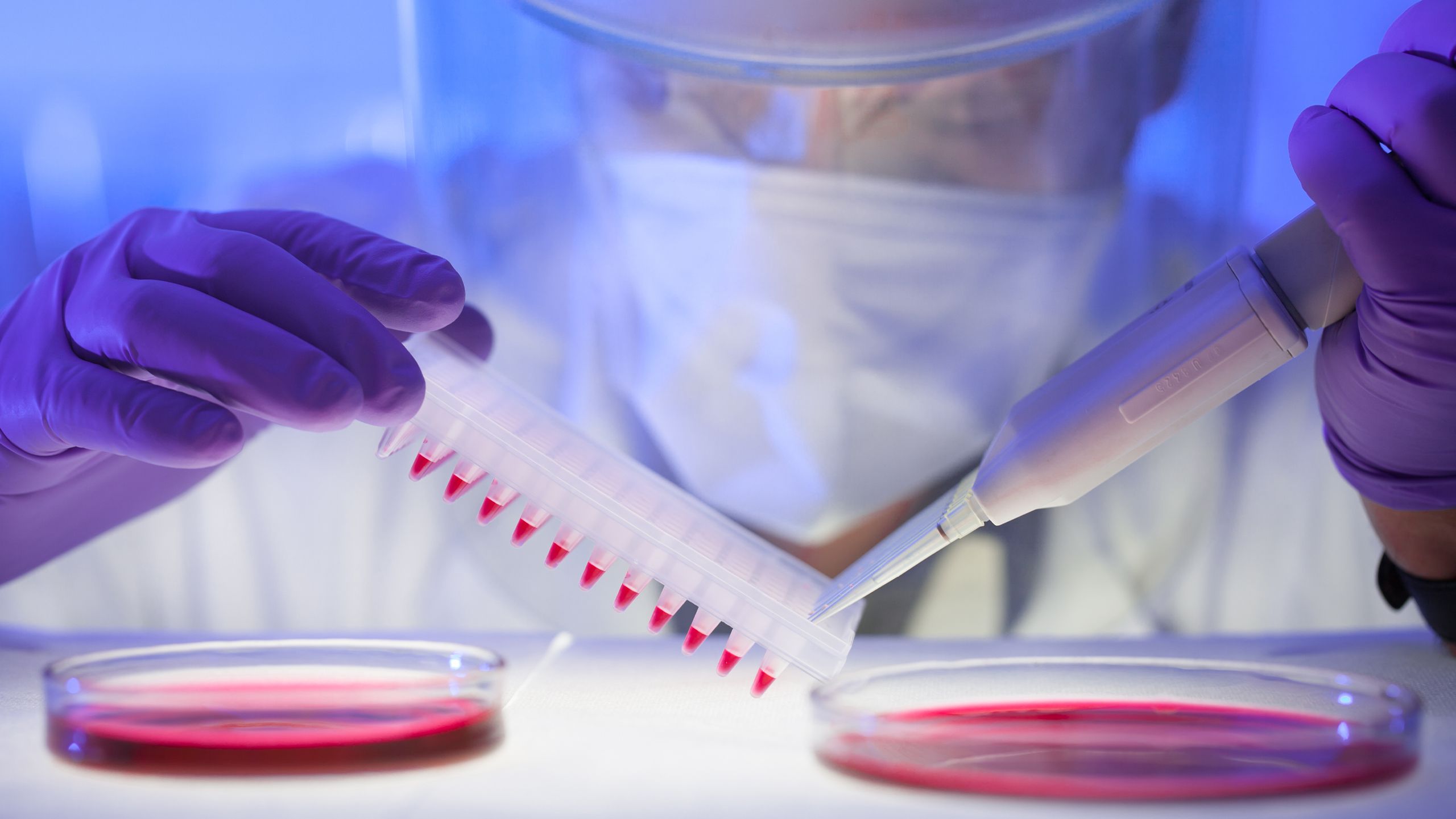 Page accueil site internet NewCellX