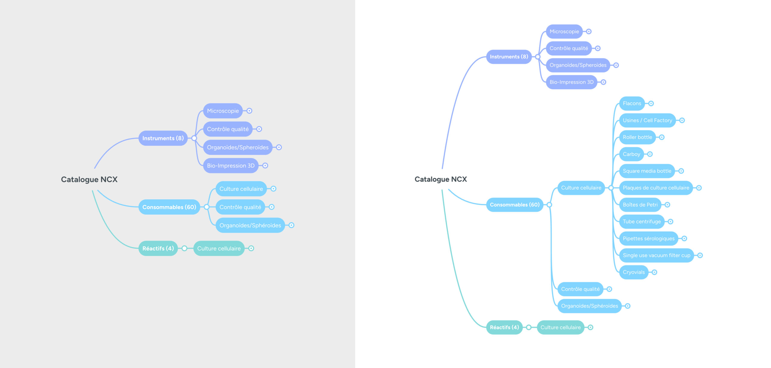 Arborescence du catalogue NewCellX